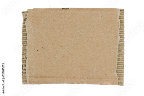 Cardboard ripped edge isolated white background. cardboard paper texture