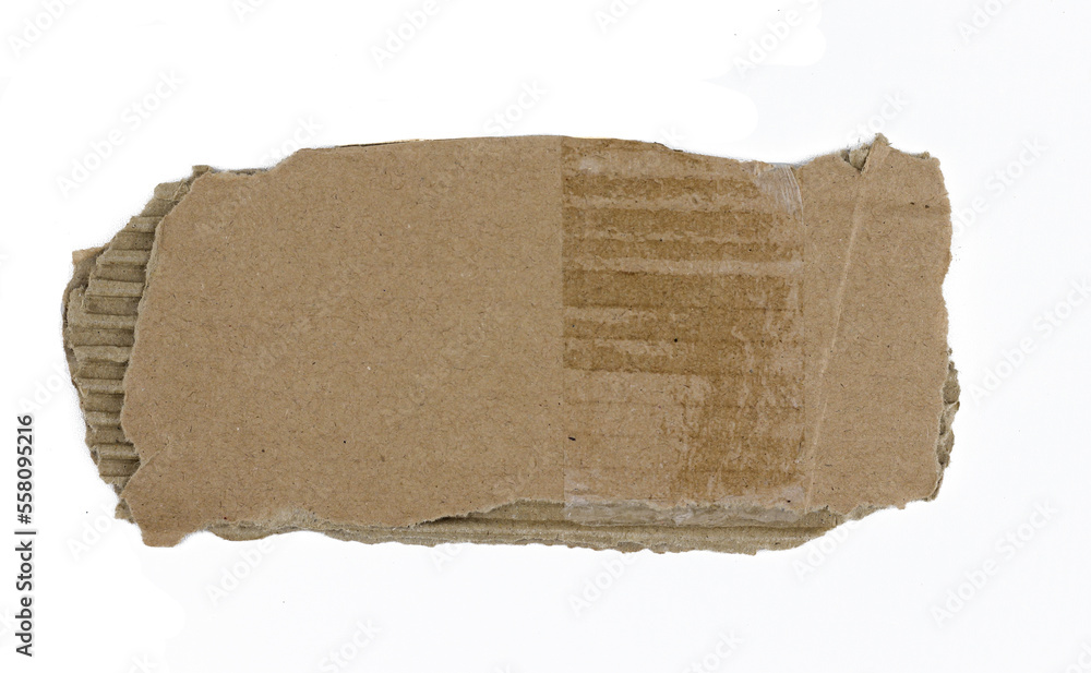 Cardboard ripped edge isolated white background. cardboard paper texture