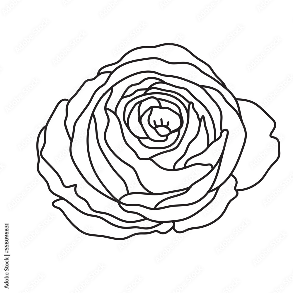 Flower Outline Simple rose Flower Outline Simple rose