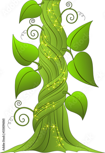 beanstalk grown from magic beans