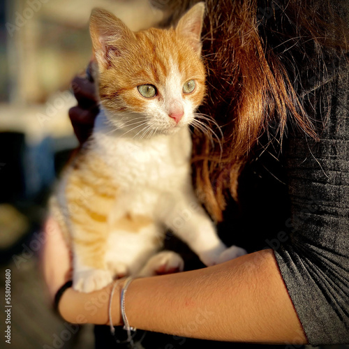 girl holds a cat in her arms