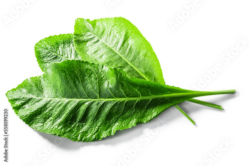 Foto Horseradish leaves  (Armoracia rusticana foliage) isolated png, top view
