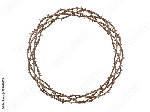 Crown Of Thorns