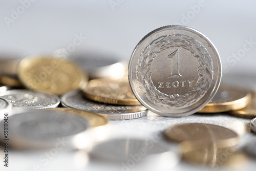 Jeden złoty, Polski bilon, Moneta PLN © andsko
