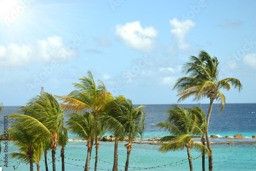 A beach club on the island of Curacao in the Dutch Caribbean © gustavo