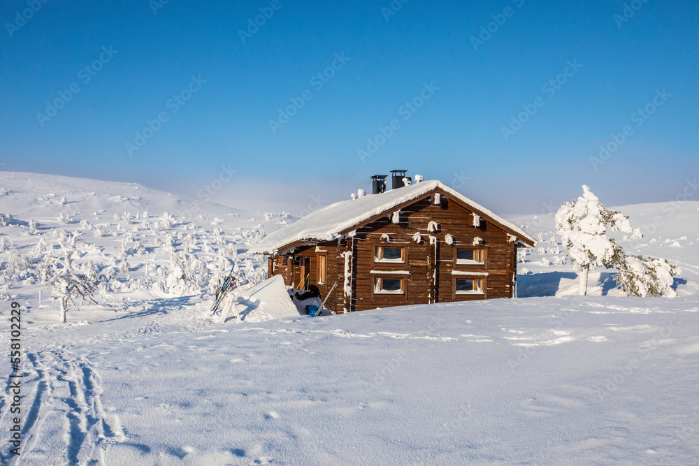 Ski expedition in Pallas Yllastunturi National Park , Lapland, Finland