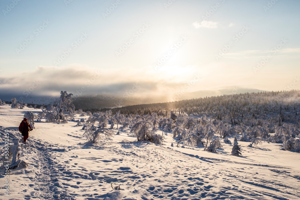 Winter landscape in Pallas Yllastunturi National Park, Lapland, Finland Winter landscape in Pallas Yllastunturi National Park, Lapland, Finland