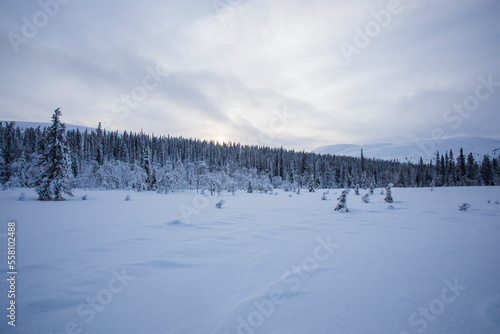 Winter landscape in Pallas Yllastunturi National Park, Lapland, Finland © Alberto Gonzalez 