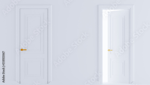 3D render of white wooden doors isolated on white background