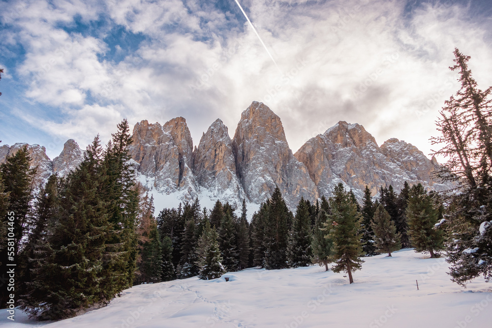 View of the Dolomites in winter with snow in the Puez Odle Natural Park in Funes Valley, Trentino Alto Adige Alps, South Tyrol, Italy. Dolomites and pine forest. Alpine climate. Mountains background. 