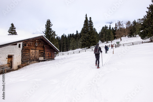 Hikers go trekking in the snow with hiking sticks during the winter holidays in the woods in the mountains. Trentino Alto Adige, Funes, South Tyrol, Italy. Walking on the snow in mountain © Giulio Benzin