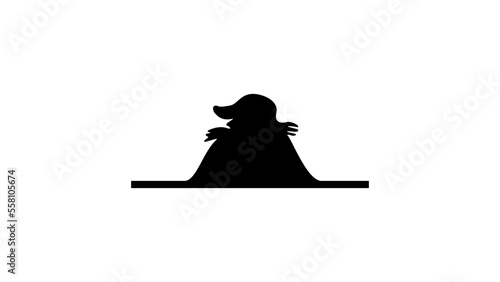 Mole silhouette