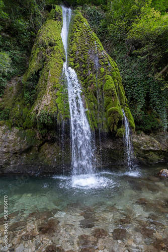 forest waterfall by summer