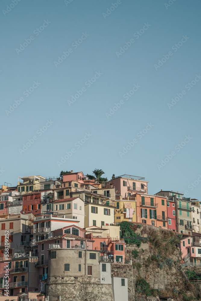 view of the city cinque terre