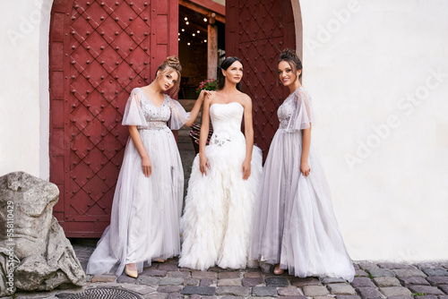 Obraz na płótnie Beautiful bride and bridesmaids in gorgeous elegant stylish light grey silver floor length dresses in old beautiful European city on a wedding day. w salonie