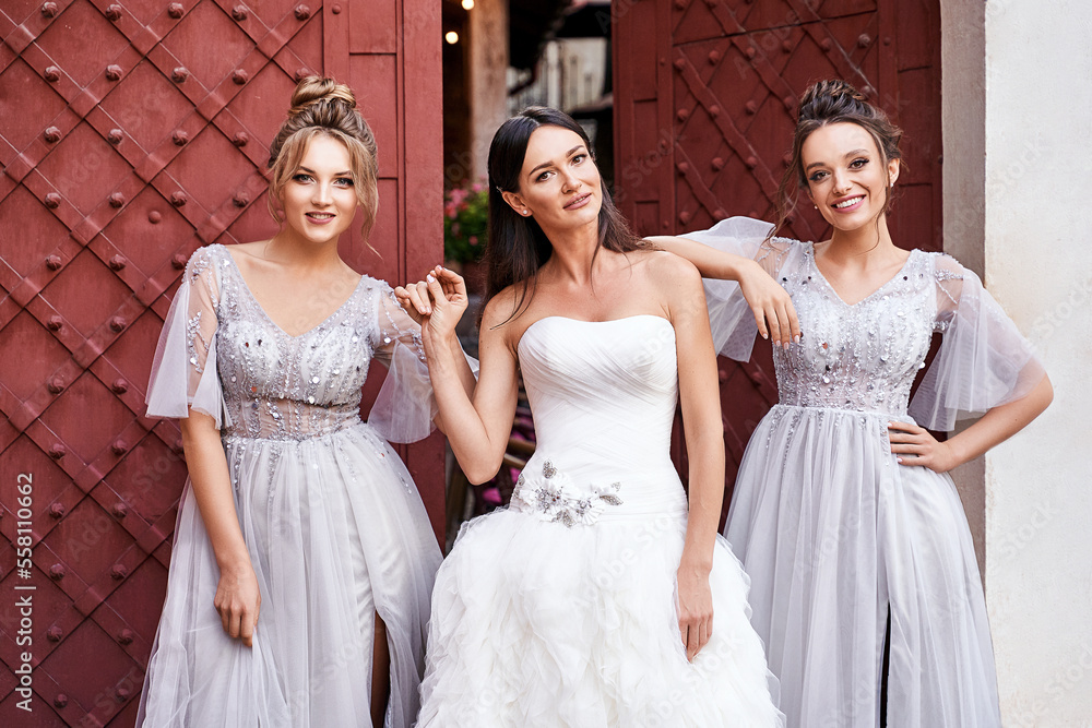 Beautiful bride and bridesmaids in gorgeous elegant stylish light grey silver floor length dresses in old beautiful European city on a wedding day.