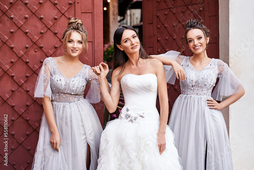 Obraz na płótnie Beautiful bride and bridesmaids in gorgeous elegant stylish light grey silver floor length dresses in old beautiful European city on a wedding day. w salonie