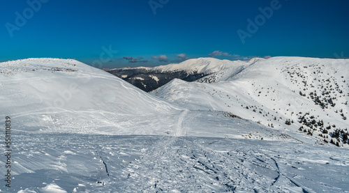 Beautiful day in winter Low Tatras mountains in Slovakia