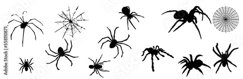 Black Widow spider set. Various positions. Every spider is isolated. Deadly venomous spiders. Hand drawn Vector illustration. Logo, icon, tattoo idea, halloween decoration, design elements template