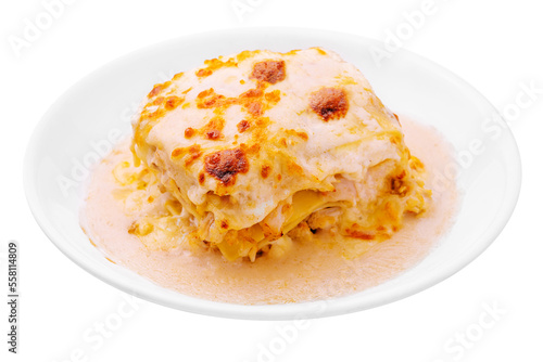 Tasty appetizing lasagna served on plate