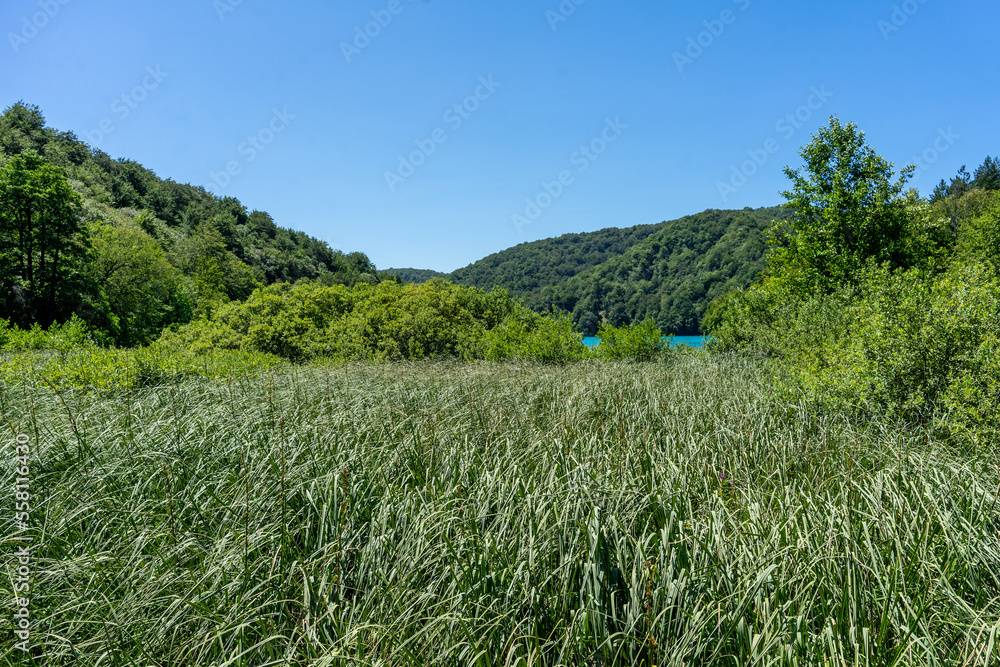 Obraz premium Plitvice National Park, where the beautiful natural environment is well preserved