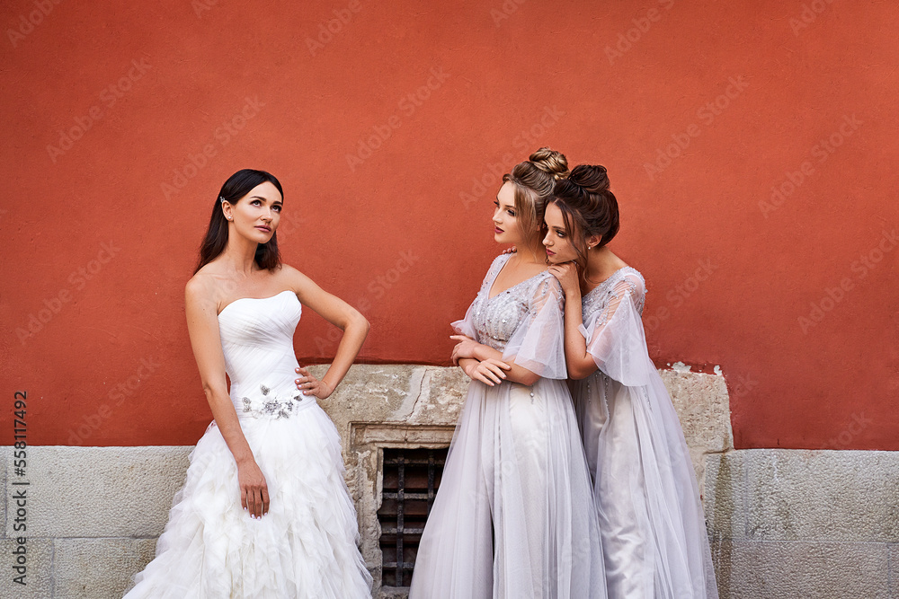 Beautiful bride and bridesmaids in gorgeous elegant stylish light grey silver floor length dresses in old beautiful European city having fun on a wedding day.