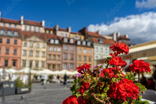 The city behind the red flowers