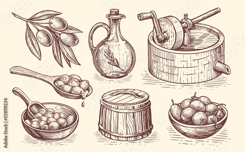 Olive oil production concept. Extra virgin, healthy organic natural farm food. Hand drawn vintage sketch vector
