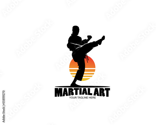 Martial art logo silhouette design vector