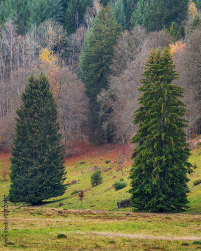 Valley Wental in south germany Baden-württemberg in autumn