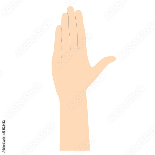 Gentle female hand in light beige minimalistic style with lines for underlining shapes, palm symbol of greeting or request for attention, vector isolated on white background.