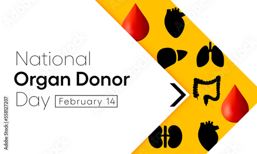 National Donor day is observed every year on February 14, dedicated to spreading awareness and education about organ, eye and tissue donation. Vector illustration