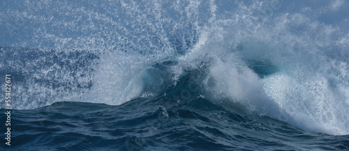 original wave crashing © LeticiaLara