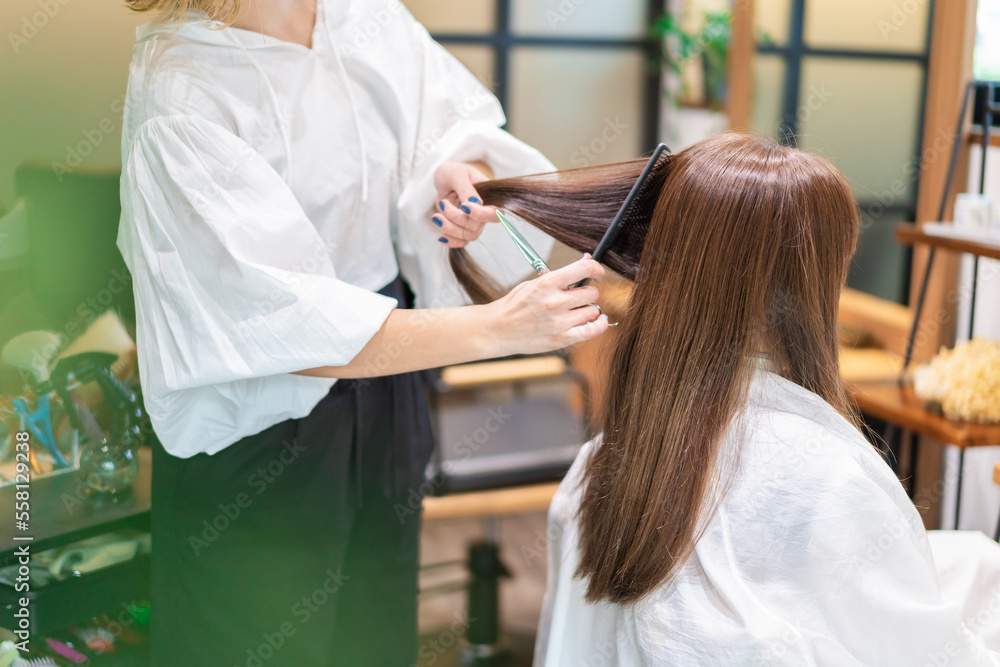 女性のヘアカットをする美容師 女性のヘアカットをする美容師