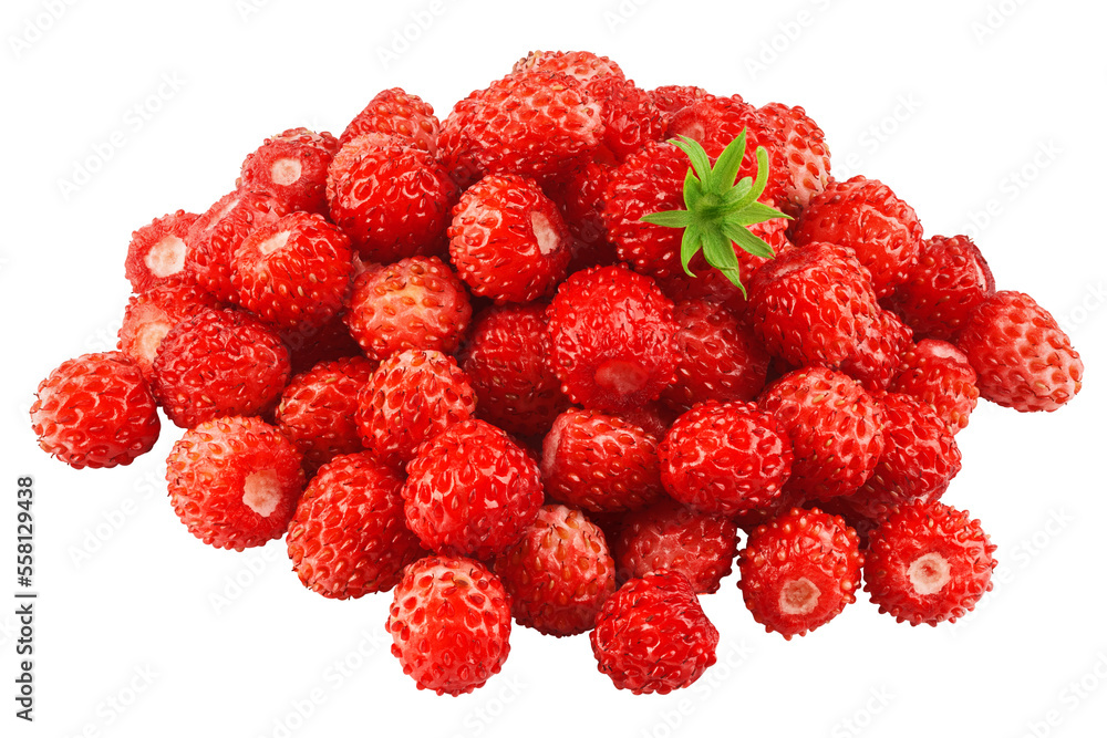 wild Strawberry isolated on white background, clipping path, full depth of field wild Strawberry isolated on white background, clipping path, full depth of field