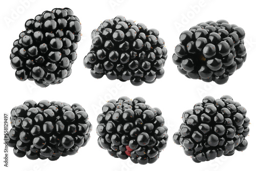 Blackberry isolated on white background, clipping path, full depth of field