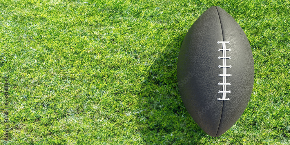 Obraz premium American football on a lush green grassy field