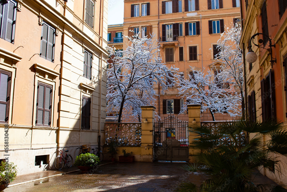 Fototapeta premium Trees after the snow