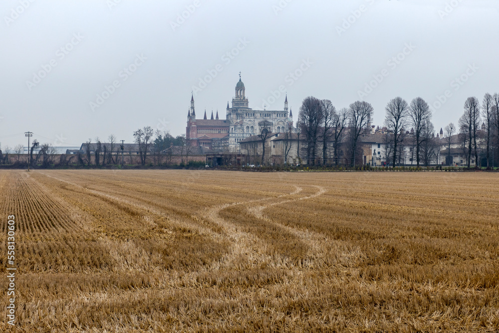 View on the background of the Certosa of Pavia, the Monastery of Santa Maria delle Grazie, the historical monumental complex including a monastery and a sanctuary, near Pavia, Lombardy, Italy View on the background of the Certosa of Pavia, the Monastery of Santa Maria delle Grazie, the historical monumental complex including a monastery and a sanctuary, near Pavia, Lombardy, Italy