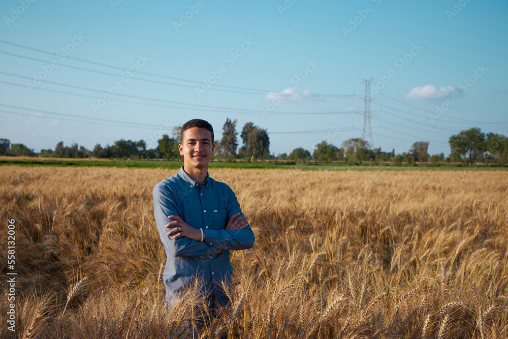 Man walking in wheat during sunset and touching harvest. Man walking in wheat during sunset and touching harvest.