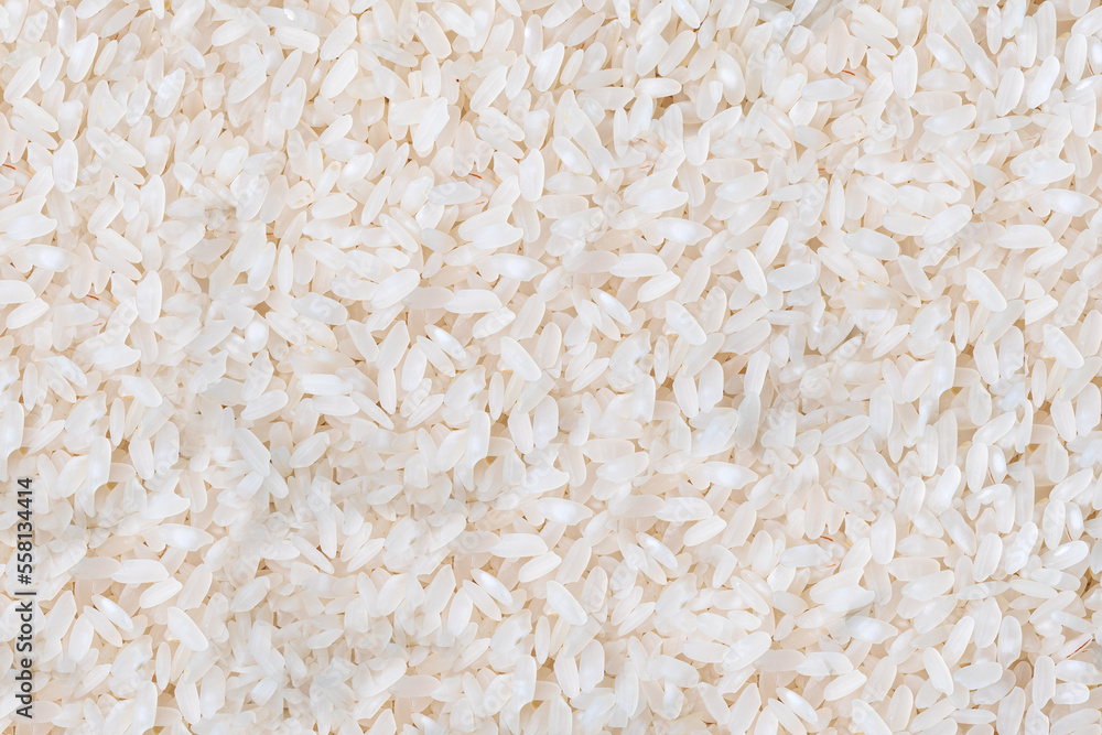 Uncooked white rice background. Uncooked raw cereals. Texture. Close-up. Uncooked white rice background. Uncooked raw cereals. Texture. Close-up.