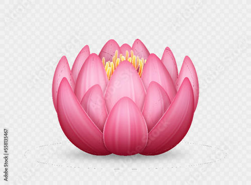 Realistic pink lotus flower. Beautiful water lily. 3d element for beauty, natural cosmetics
