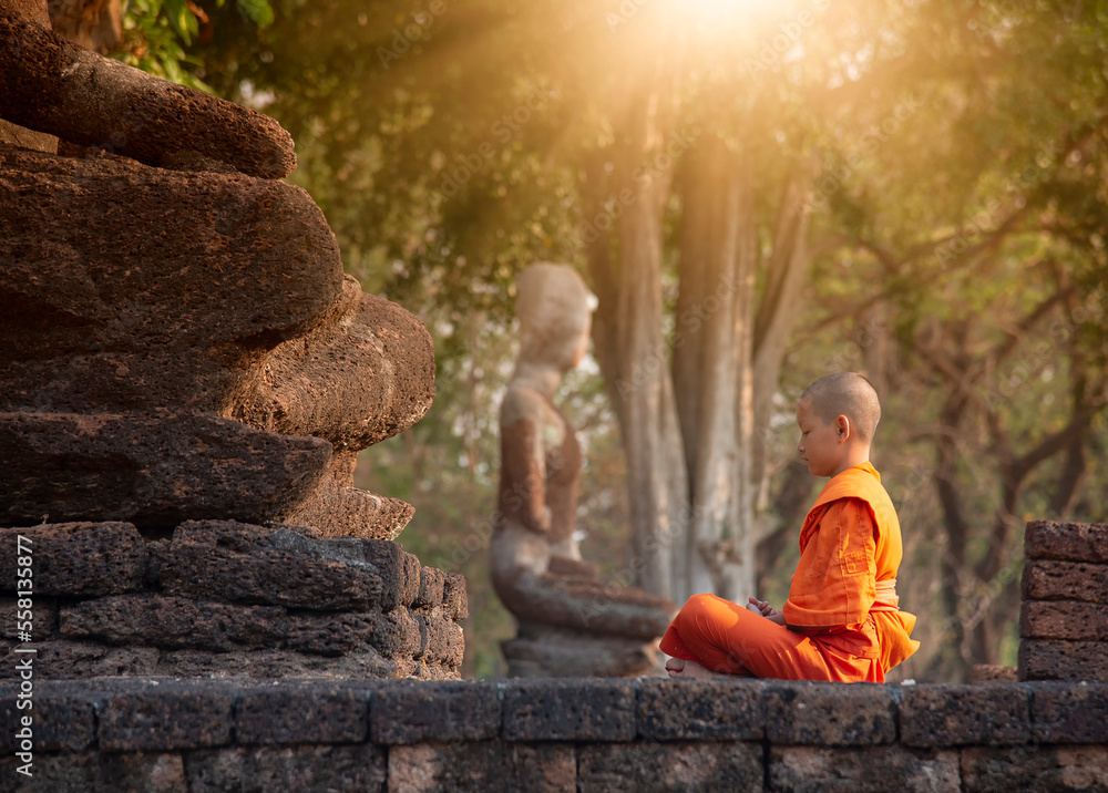Buddhist monk and novice meditation in front of the Buddha statue at the old temple - obrazy, fototapety, plakaty 