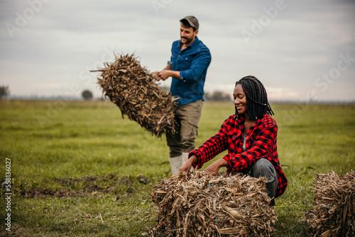 Cheerful male and female farmers working together in the field, having their own business, stacking hale bales.