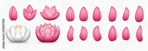 Pink and white lotus flowers and petals set. Water lily for beauty procedures, natural cosmetics