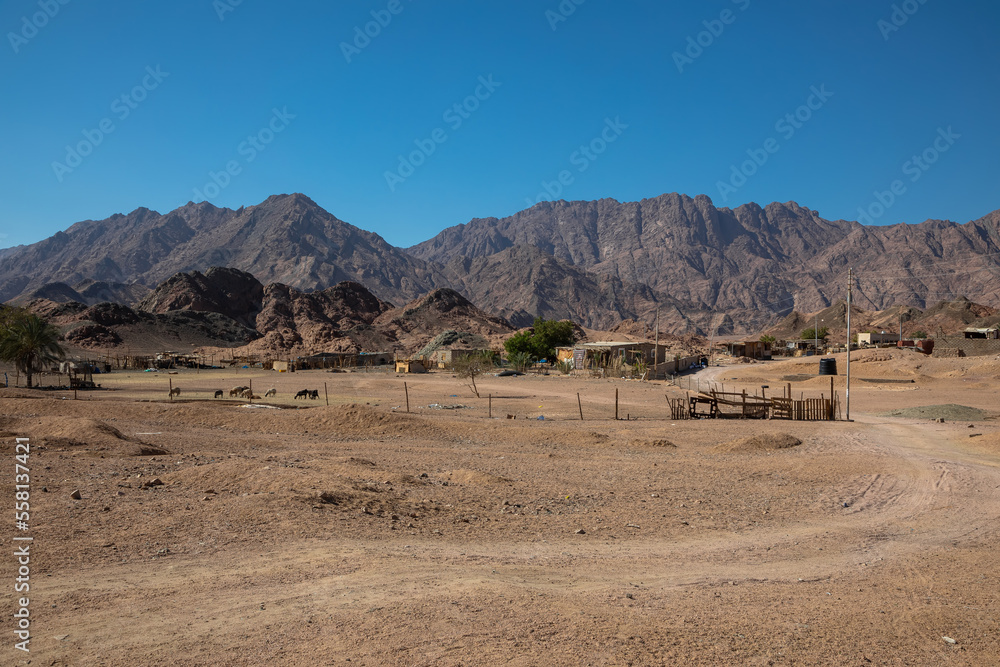 Beautiful stone mountains in the desert. Yellow sand on the mountains. Evening nature. Sunny summer day.