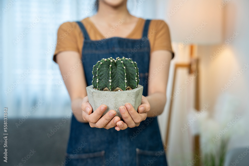 Asian woman plant shop owner holding potted cactus for sale online