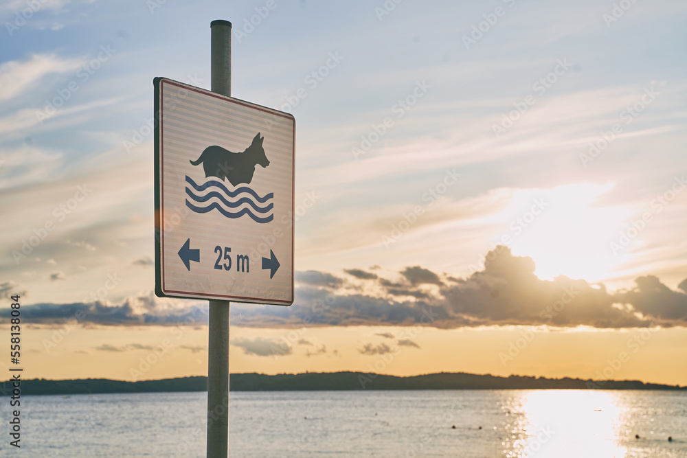 Dog friendly beach sign at sunset near the seashore