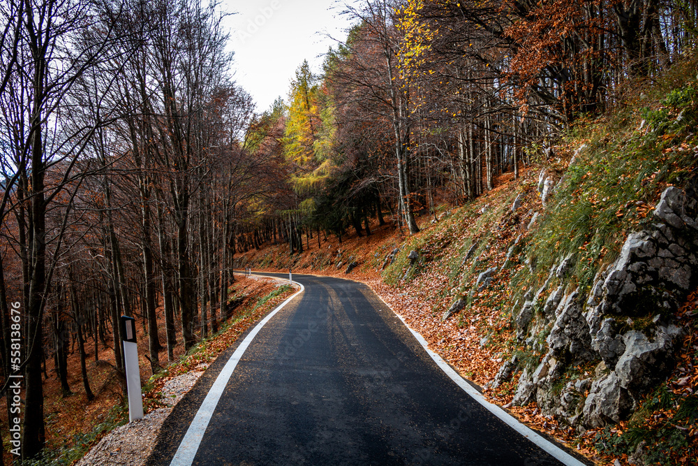 Curvy road in the autumn landscape.