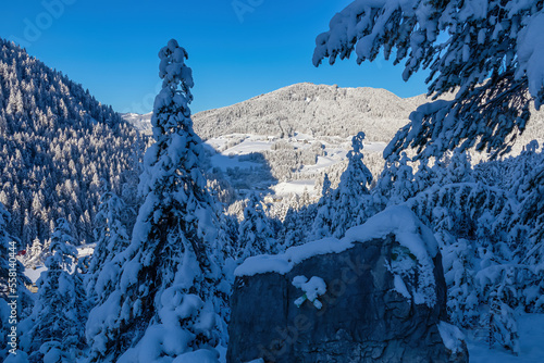 Heavy snow covered rock and branch of fir tree in winter wonderland forest after snowfall in Bleiberger Erzberg mountains, Bad Bleiberg, Carinthia, Austria, Europe. Scenic view on sleepy village photo